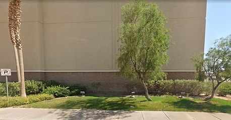 Trimmed shrubs, lawn and tree