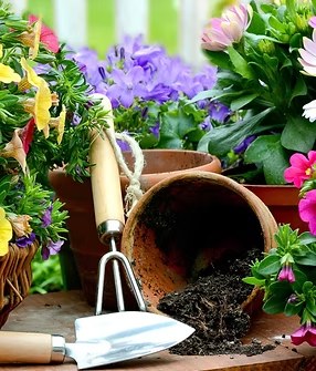 Gardening