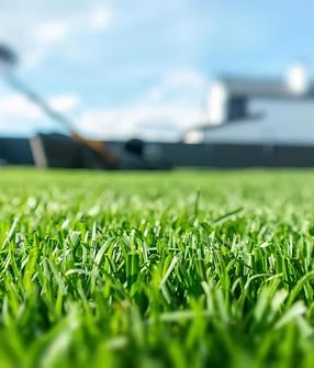 Lawn Maintenance
