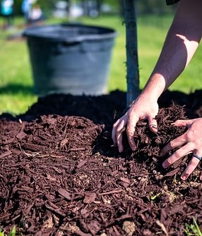 Mulching