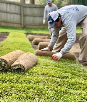 Sod Installation